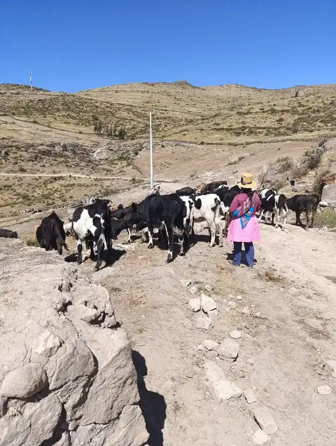 agrochaclla (118)_11_11zon_17_11zon