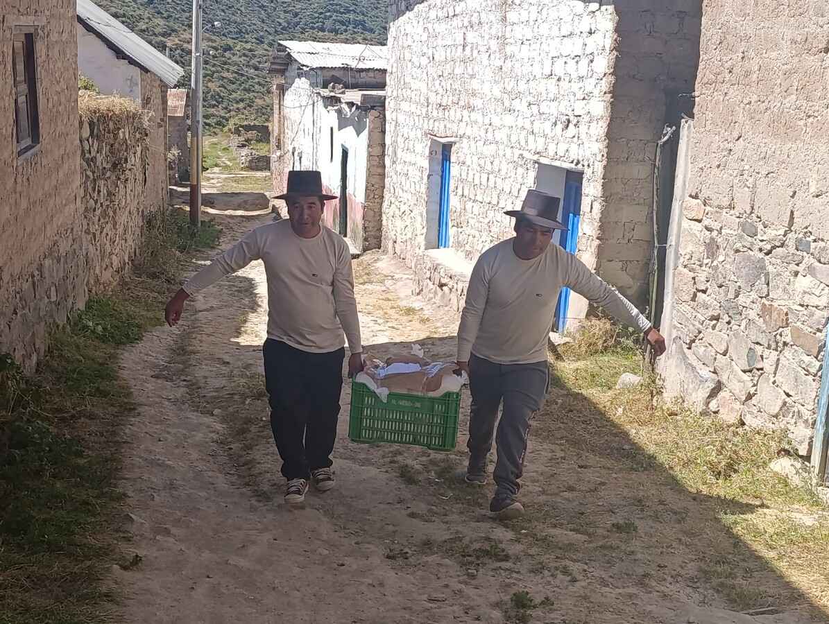 Compra de quesos, dudas frecuentes respondidas