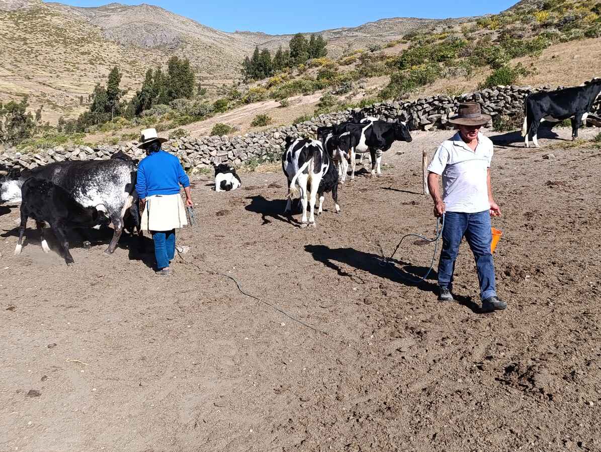 Elaboración de yogurt artesanal en AgroChaclla