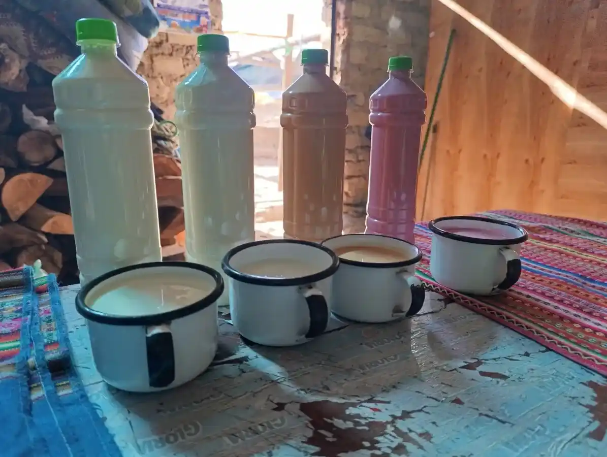 Elaboración de yogurt artesanal en AgroChaclla