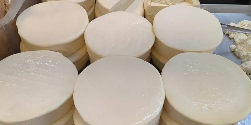 Producto - Queso artesanal por mayor